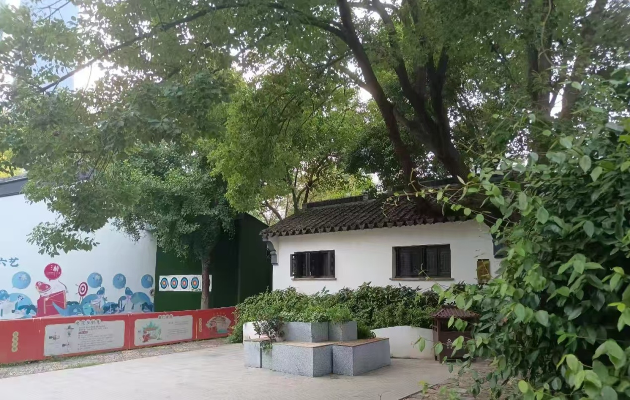 图片8