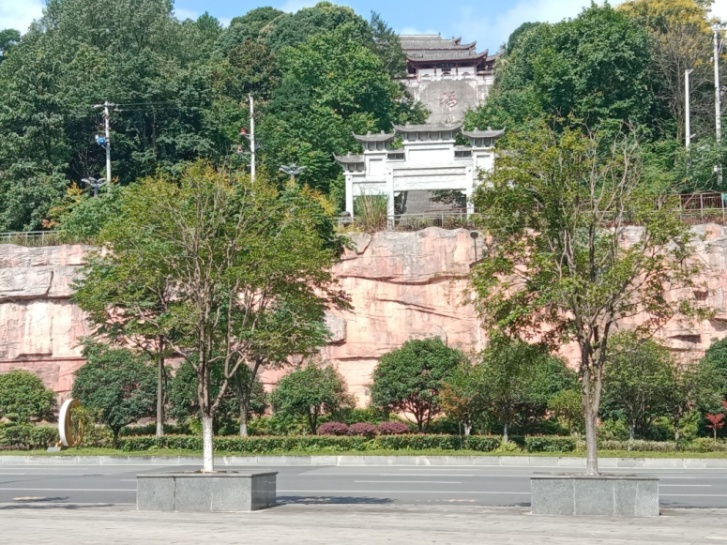 图片1