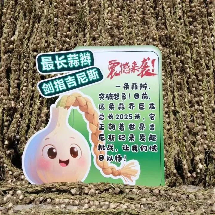 图片13