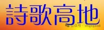 图片7