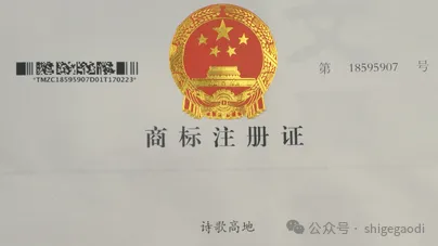 图片9