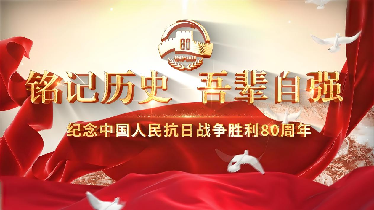 图片13