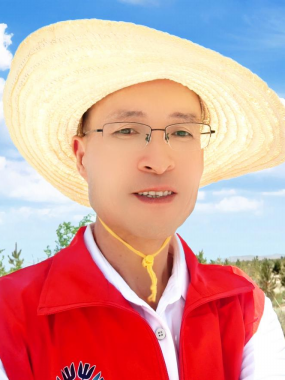 图片1