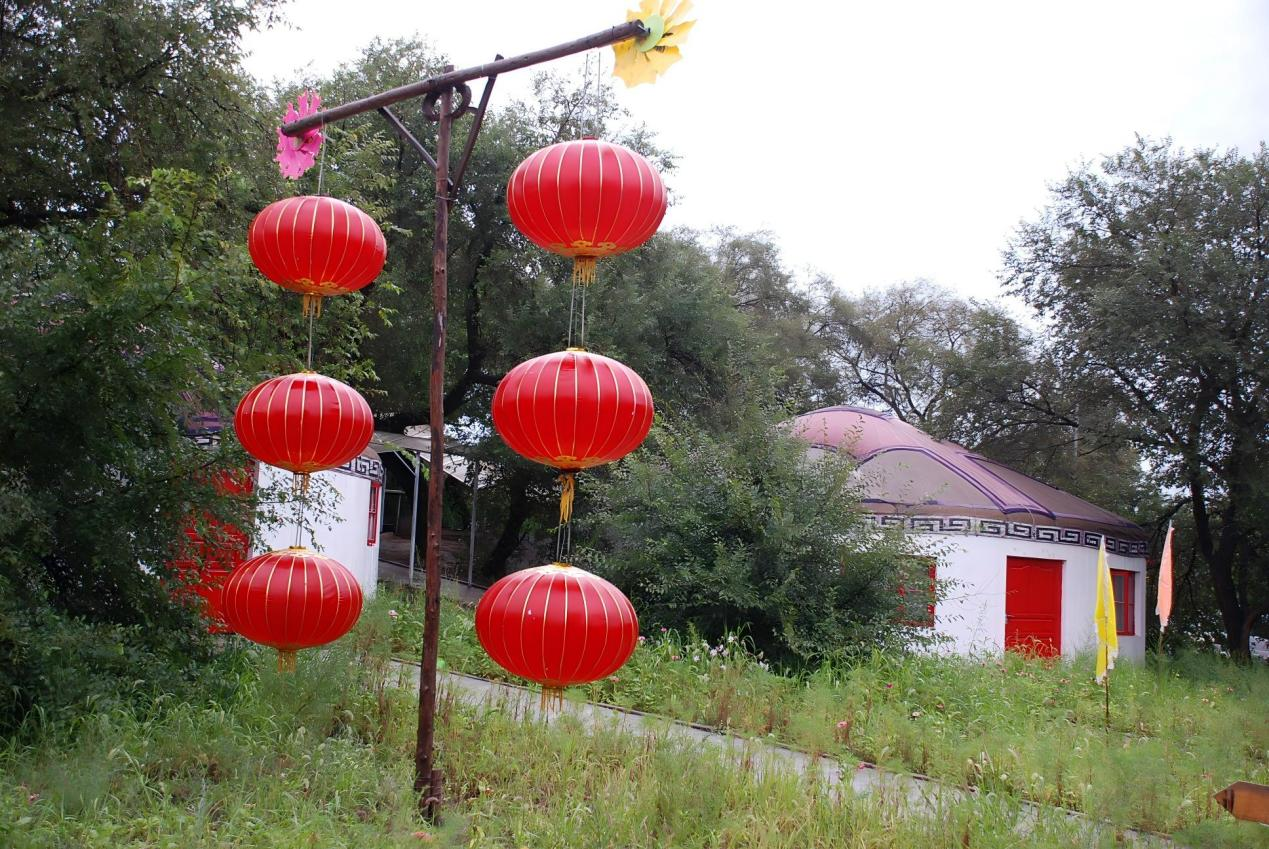 图片8