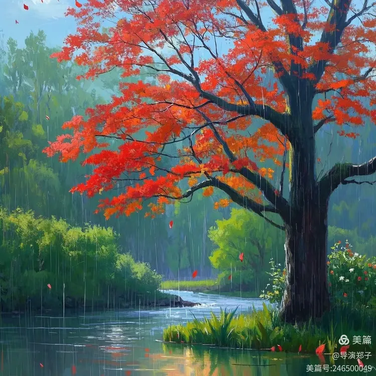 图片16