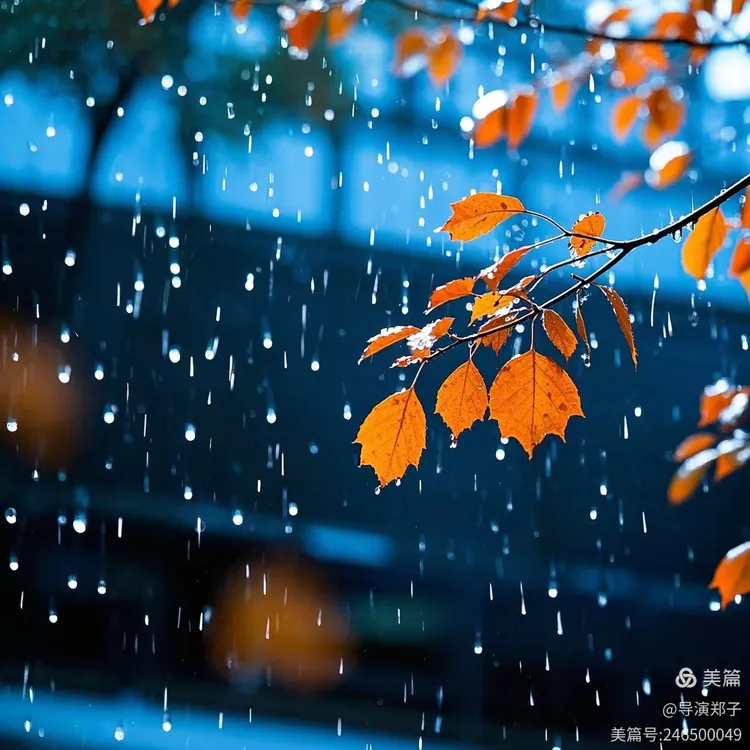 图片7