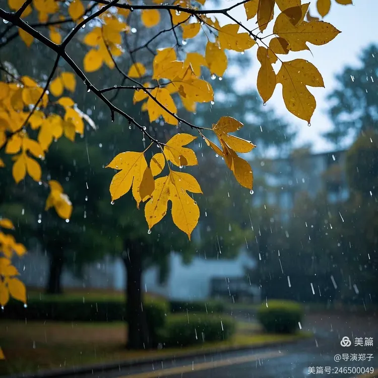图片9
