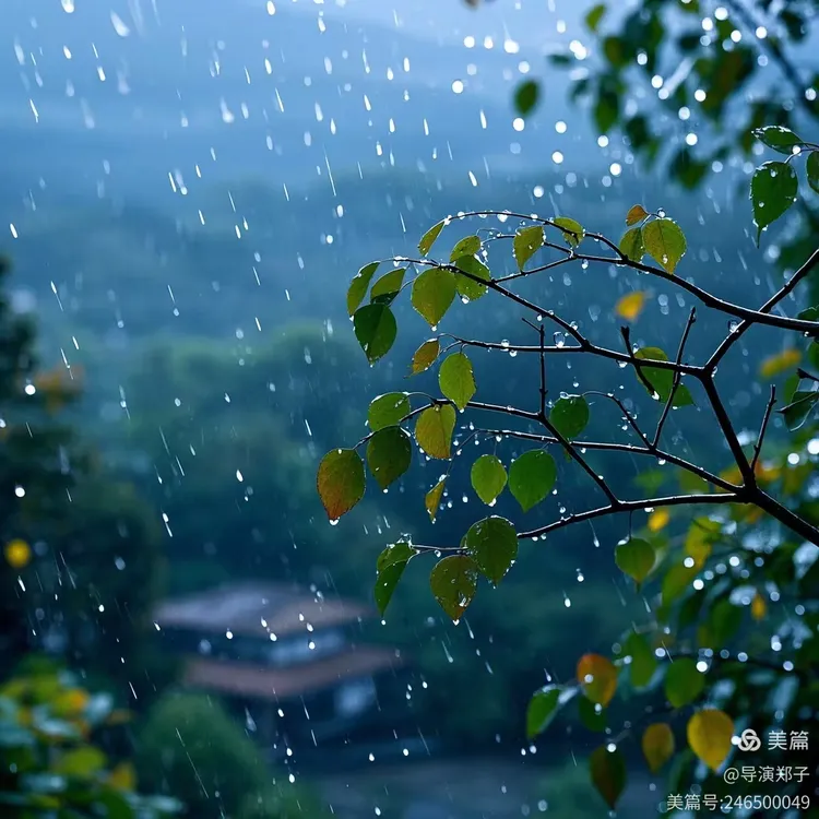图片14