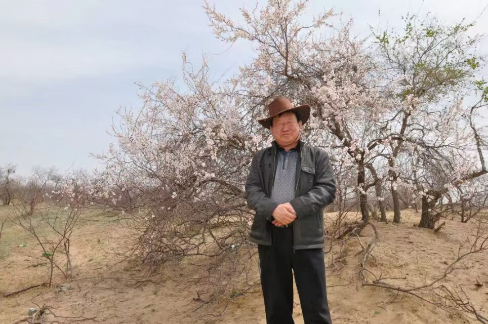 图片8
