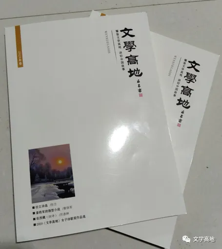 图片3
