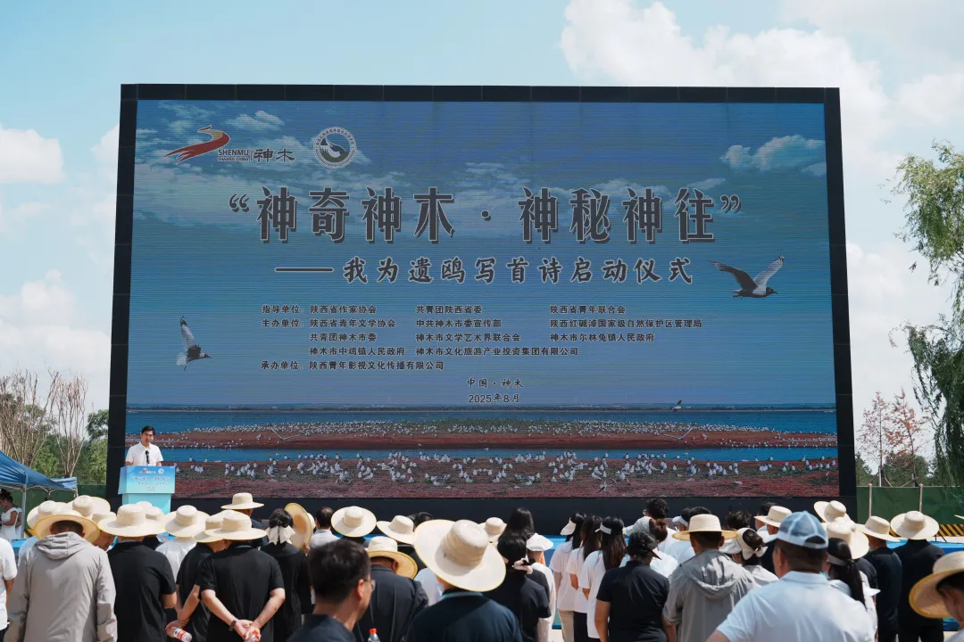 图片6