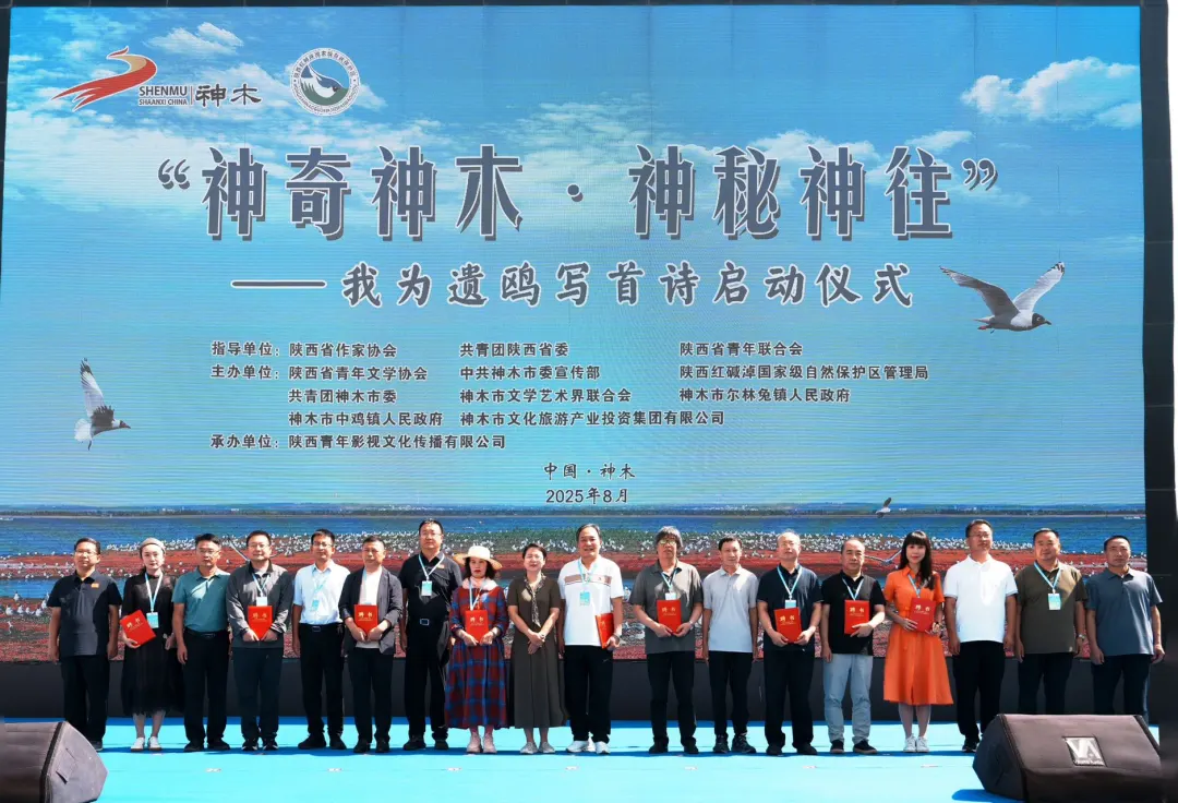 图片9