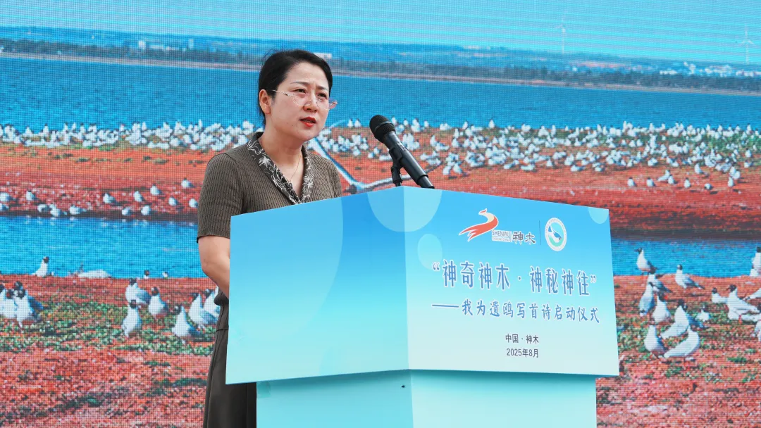 图片12