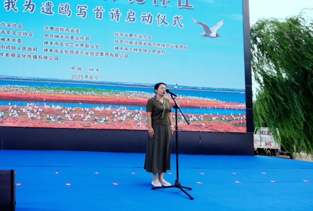 图片15