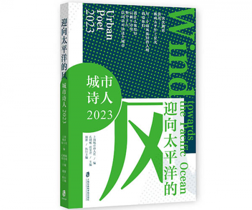 图片16
