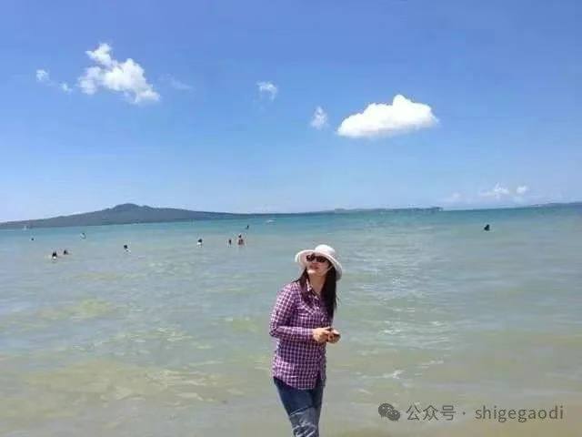 图片1