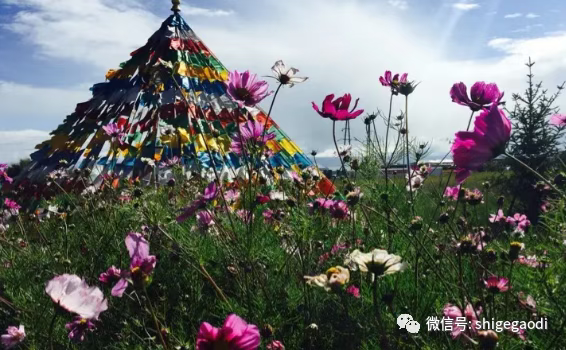 图片4