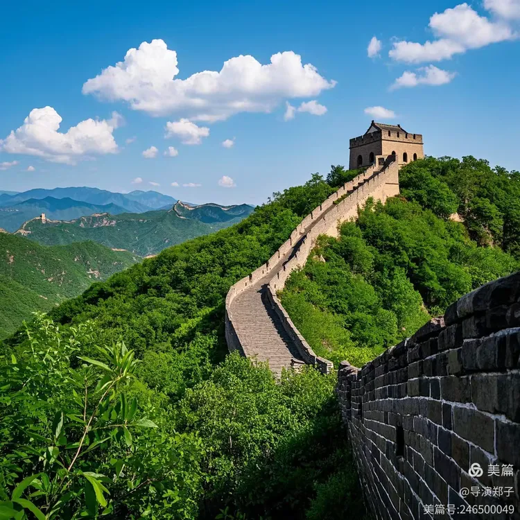 图片6