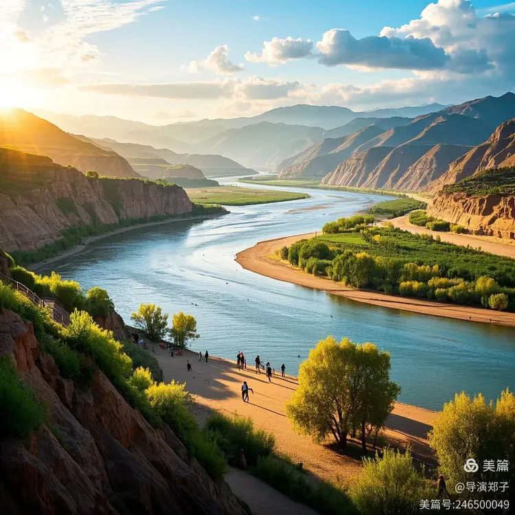 图片7