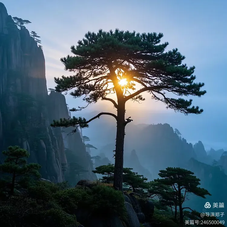 图片14