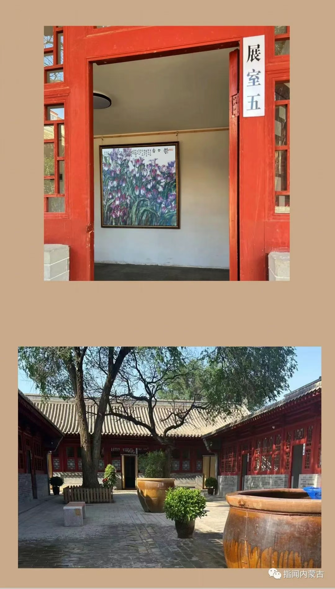 图片5