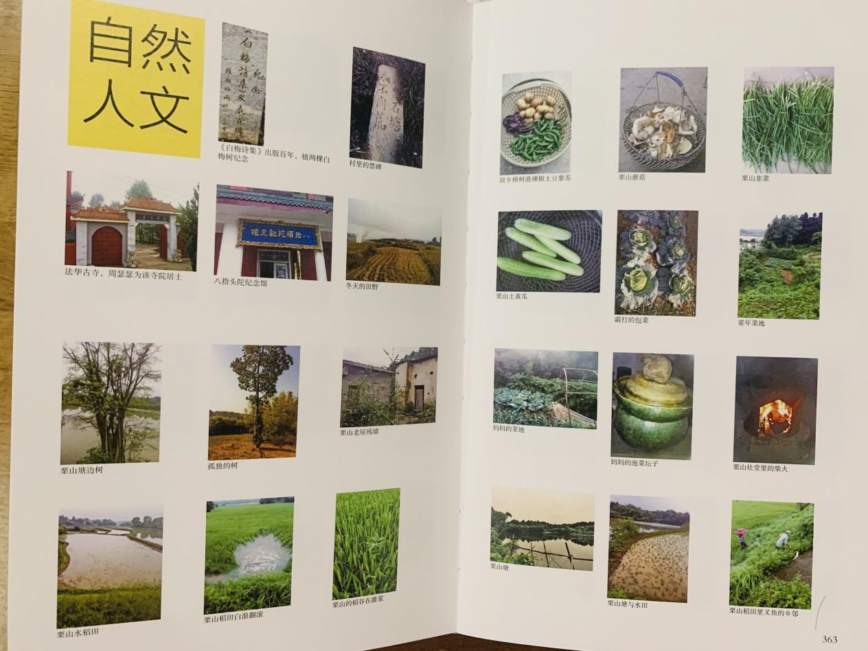 图片6