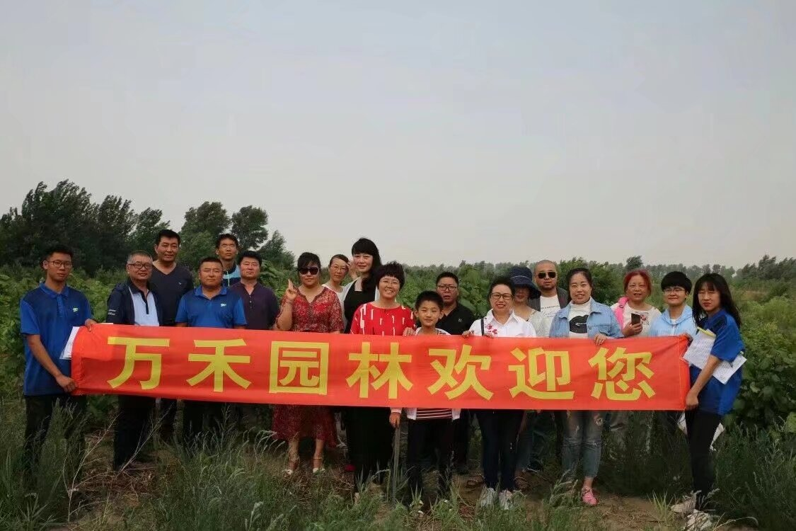 图片5