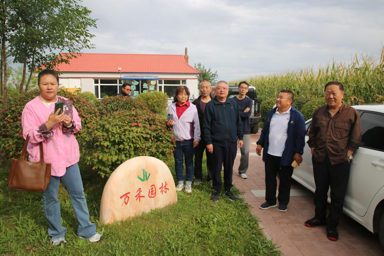 图片7