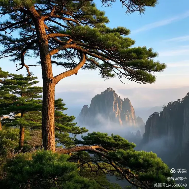 图片3
