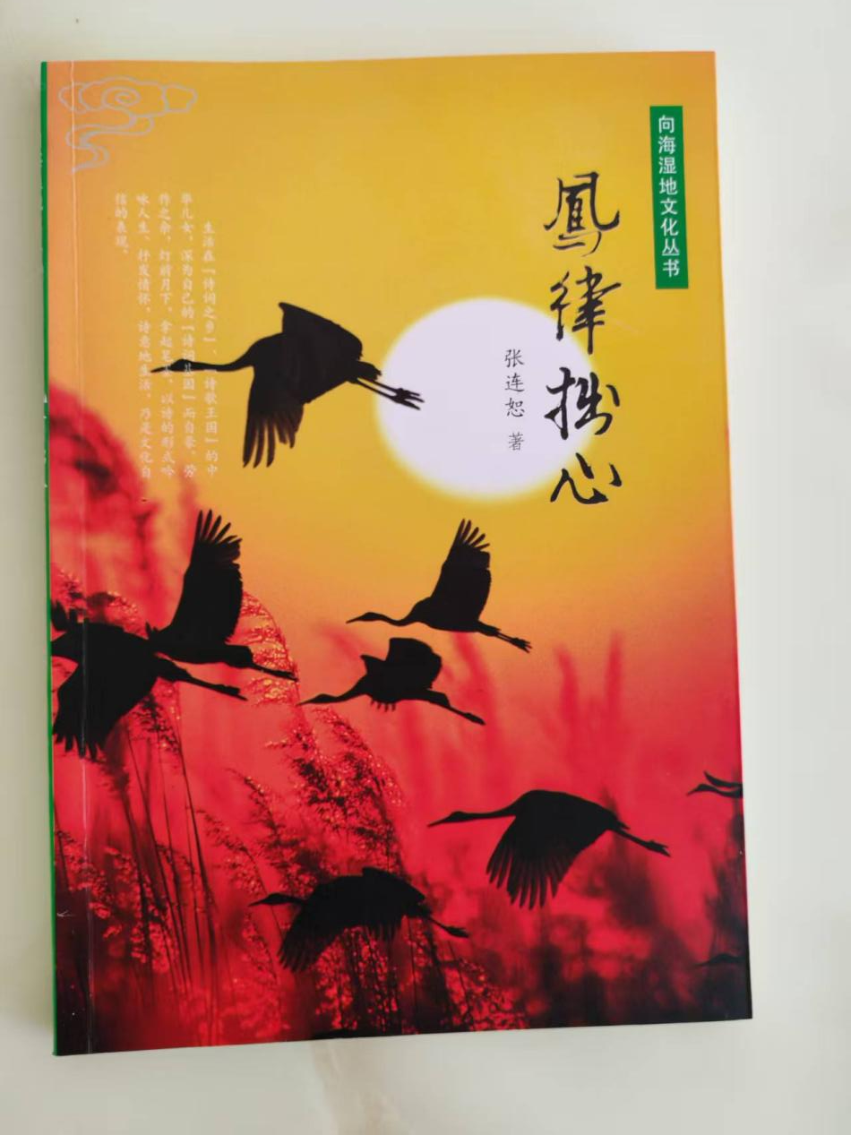 图片6