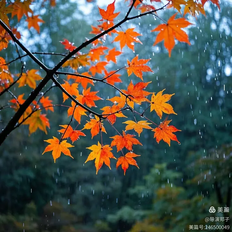 图片6