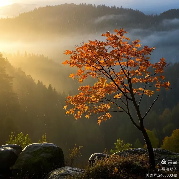 图片15