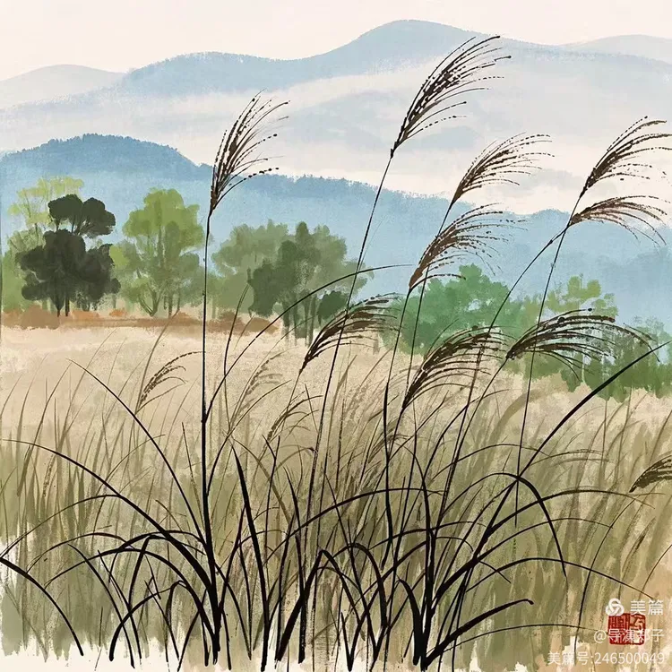 图片3