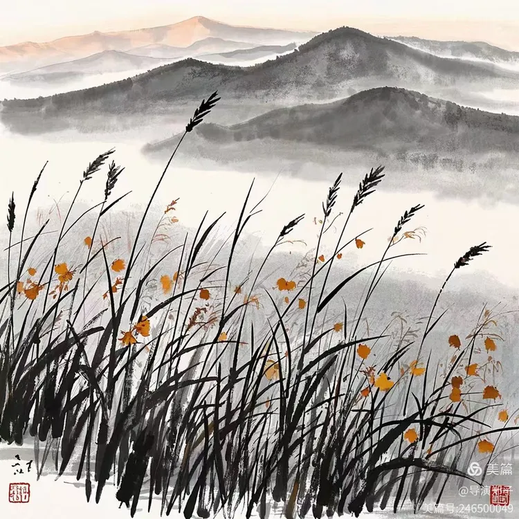 图片4