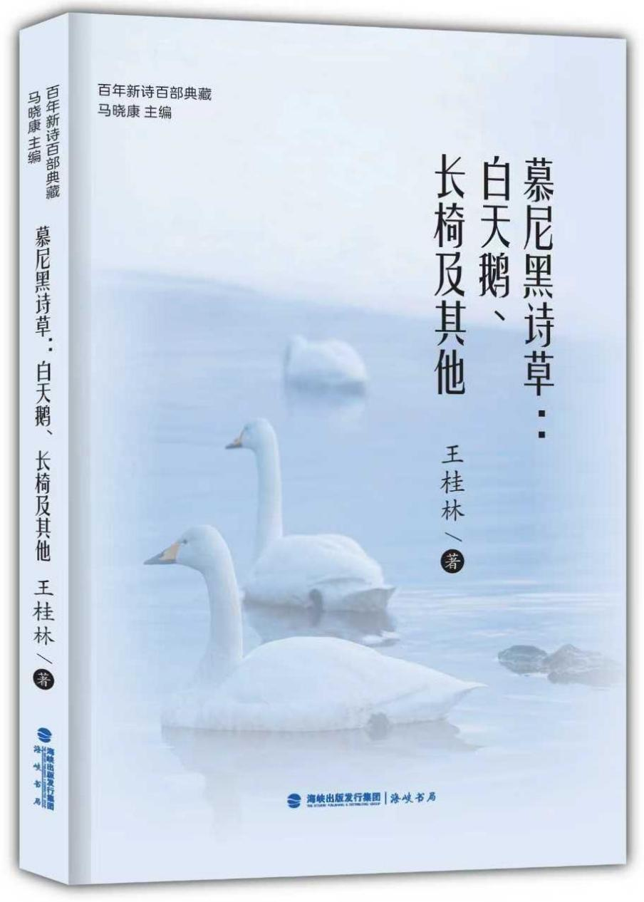 图片11
