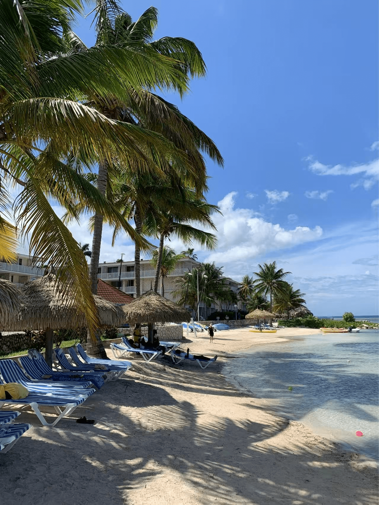 图片2_new 图片2_new