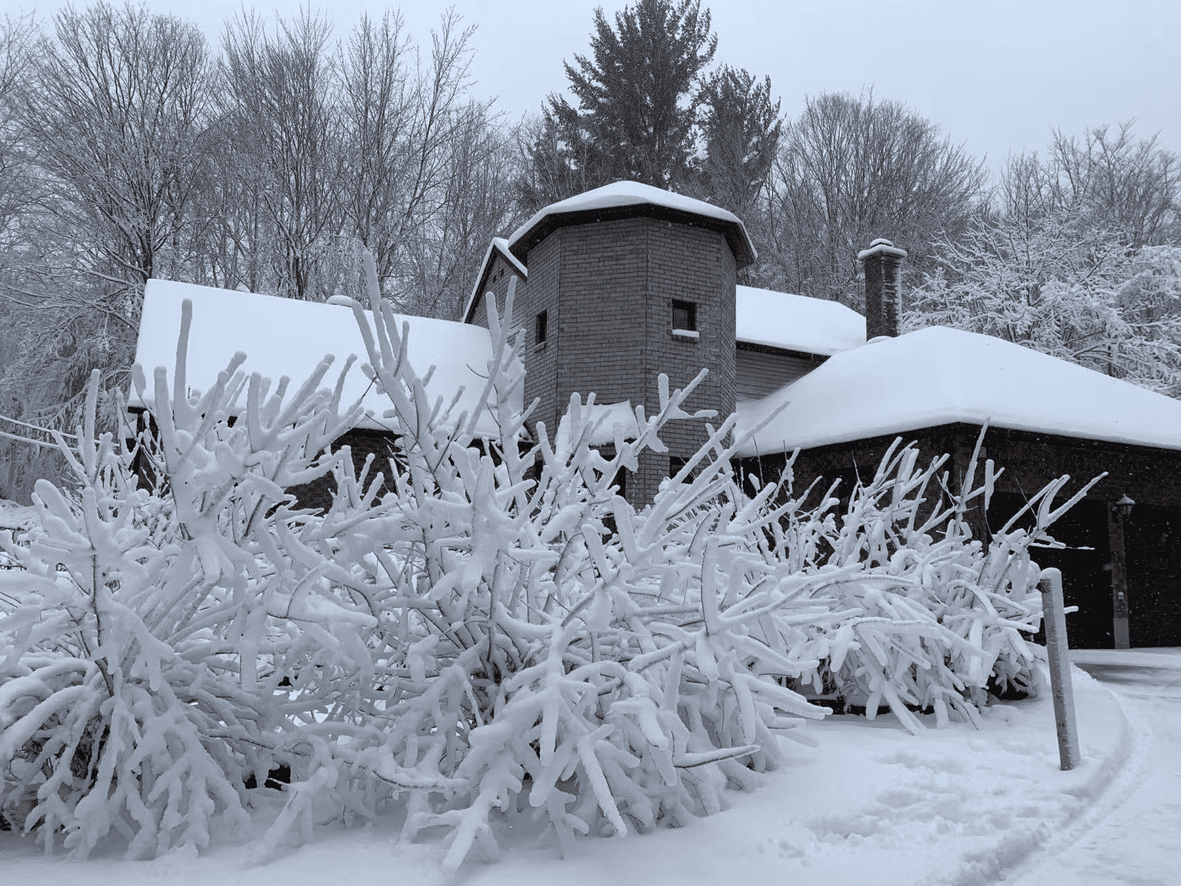 图片1_new 图片1_new