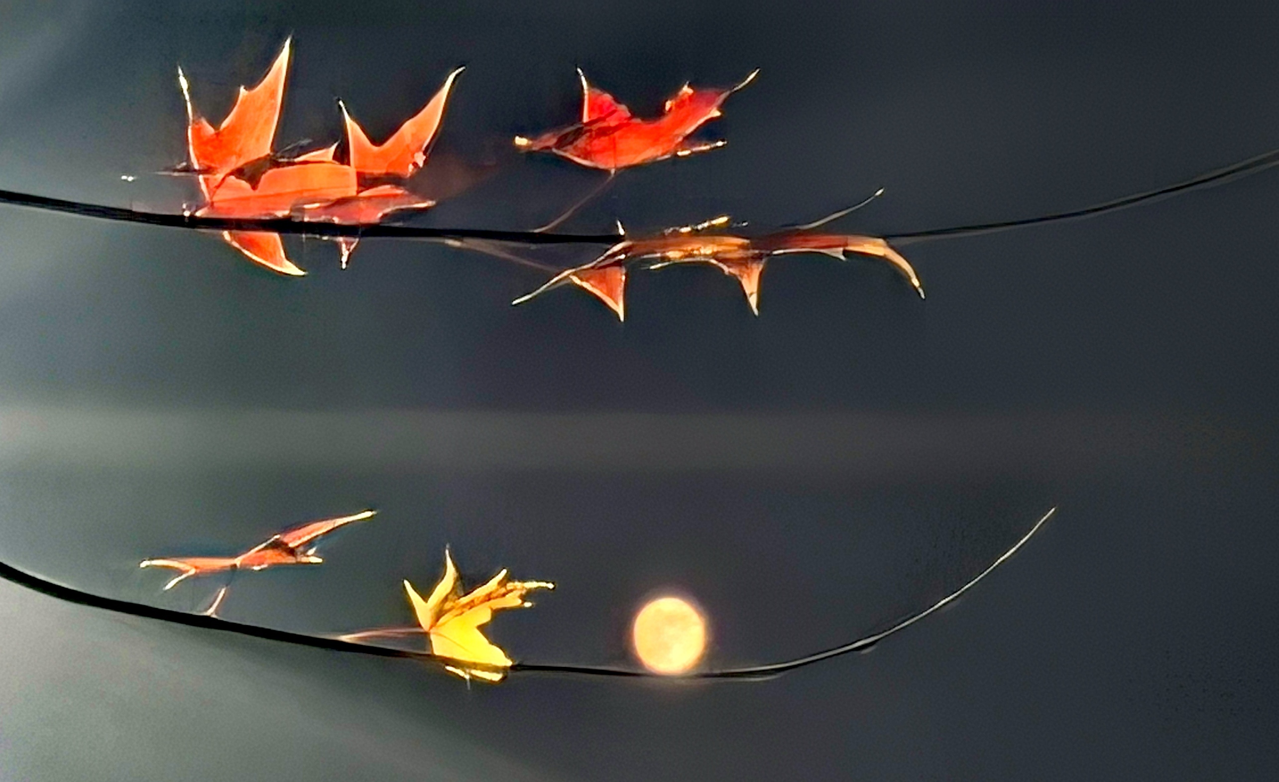 微信图片_20251107132548_5_2 微信图片_20251107132548_5_2