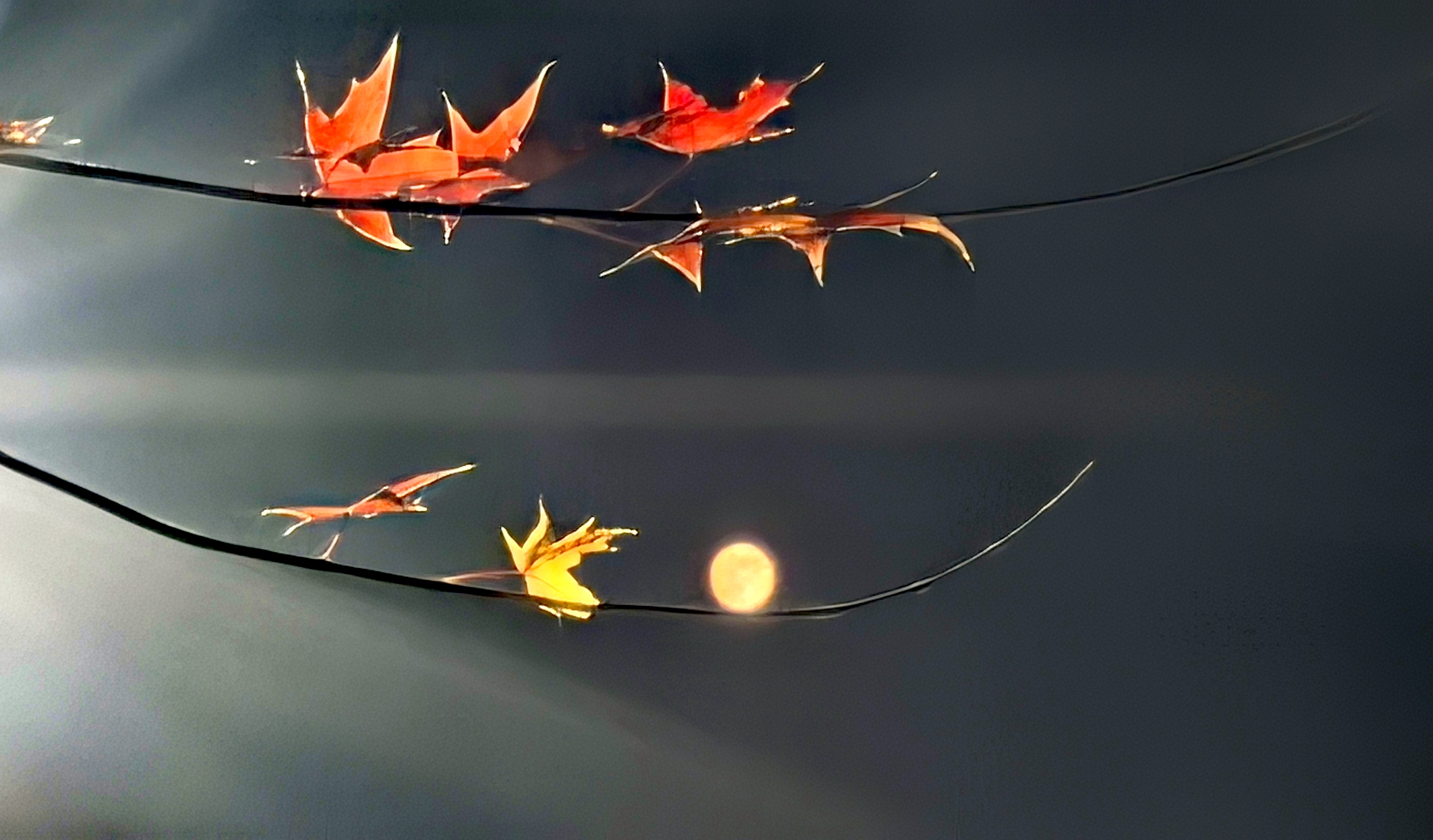 微信图片_20251211102715_2_44 微信图片_20251211102715_2_44