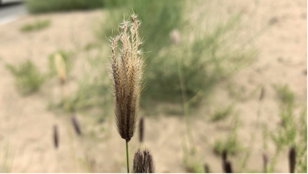 图片 3jpg 图片 3jpg