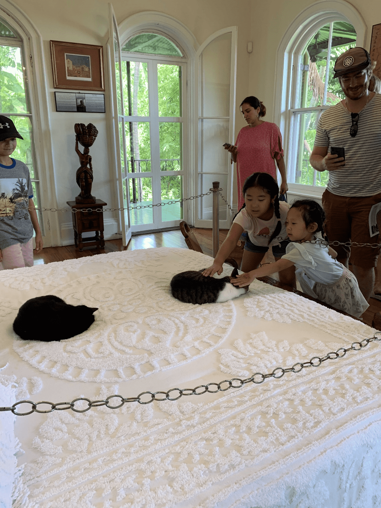 图片5_new 图片5_new