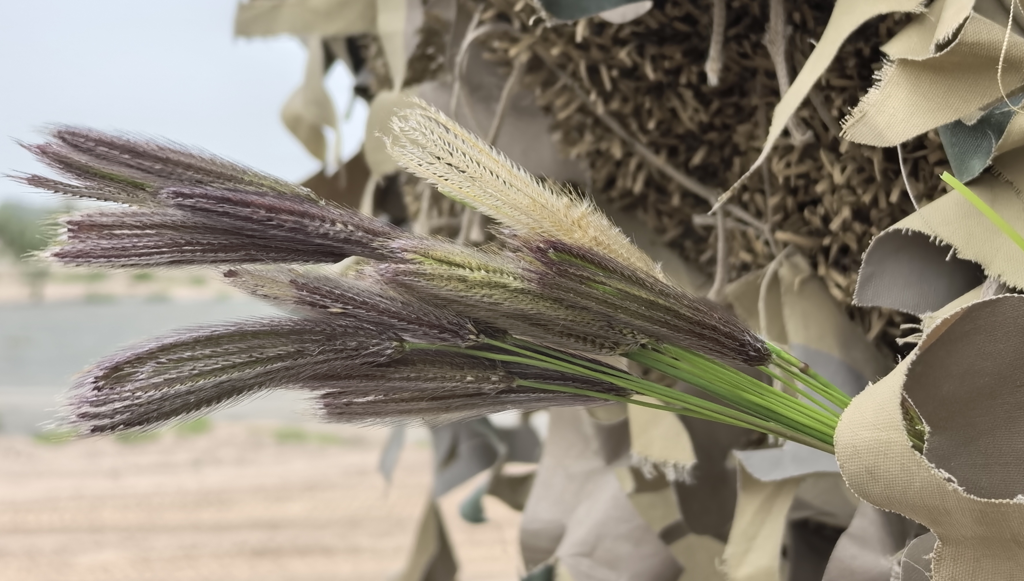 微信图片_20251002132404_13_4