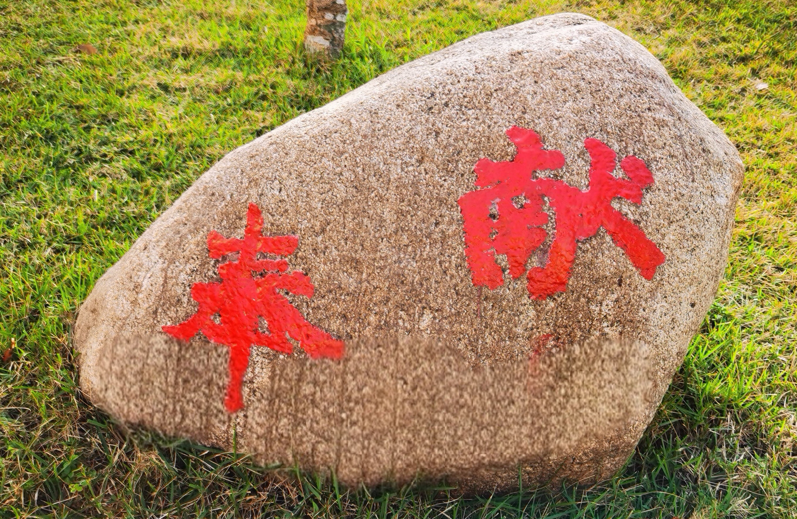 _20260204220233_40_4