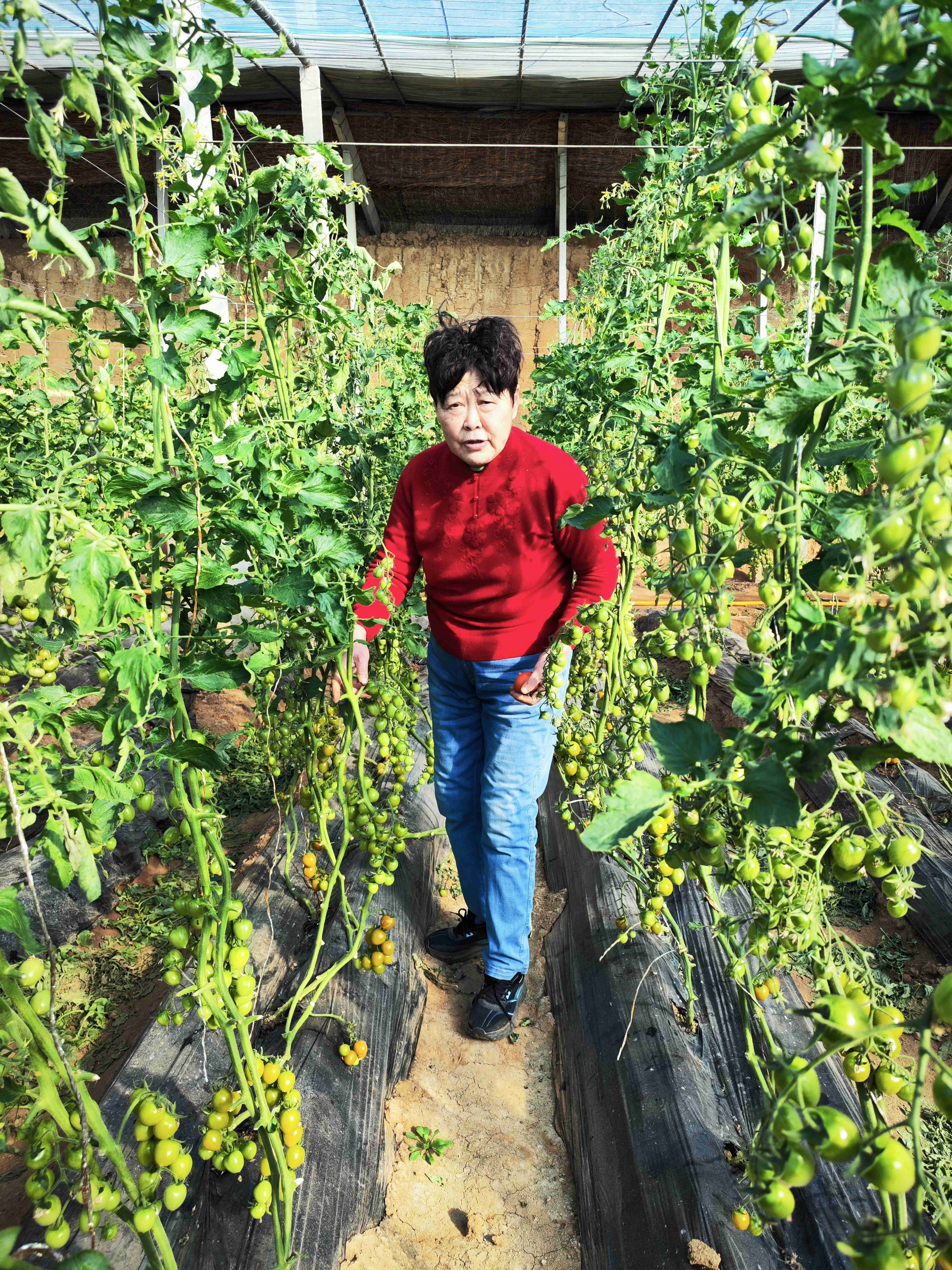 IMG_20260208_101102_new