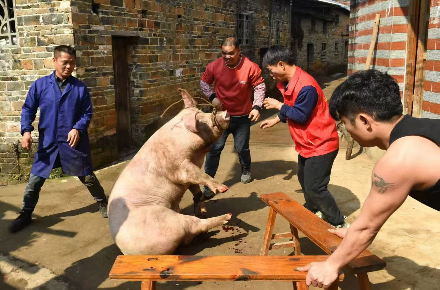 微信图片_20260221144809_146_18