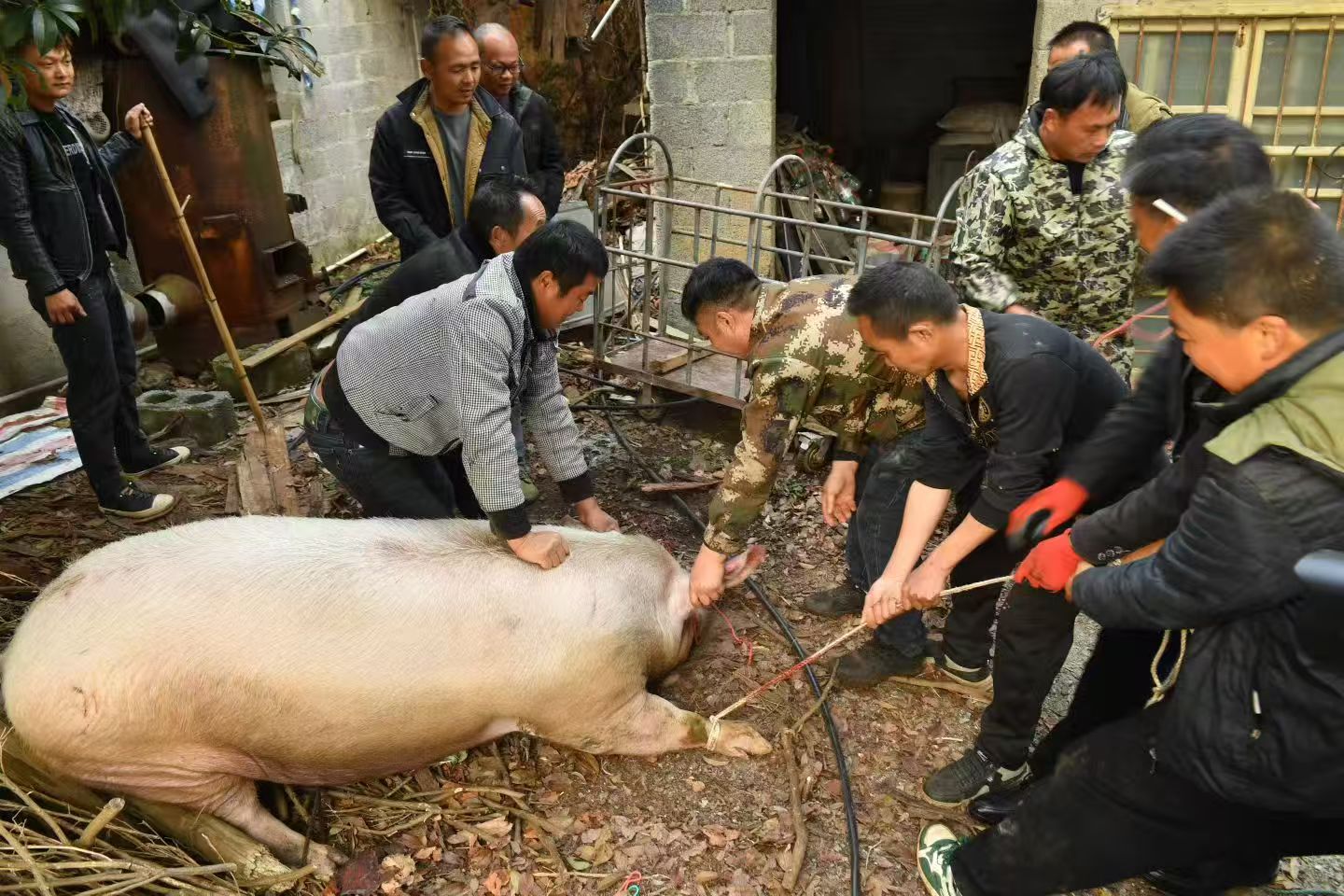 微信图片_20260221144858_147_18