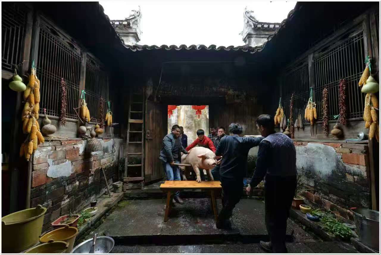 微信图片_20260221145839_151_18