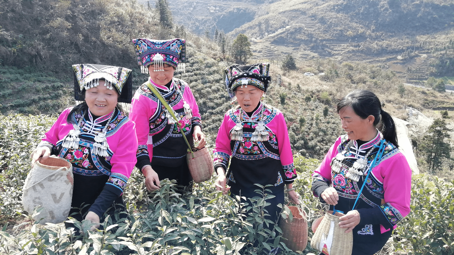 图片4_new 图片4_new