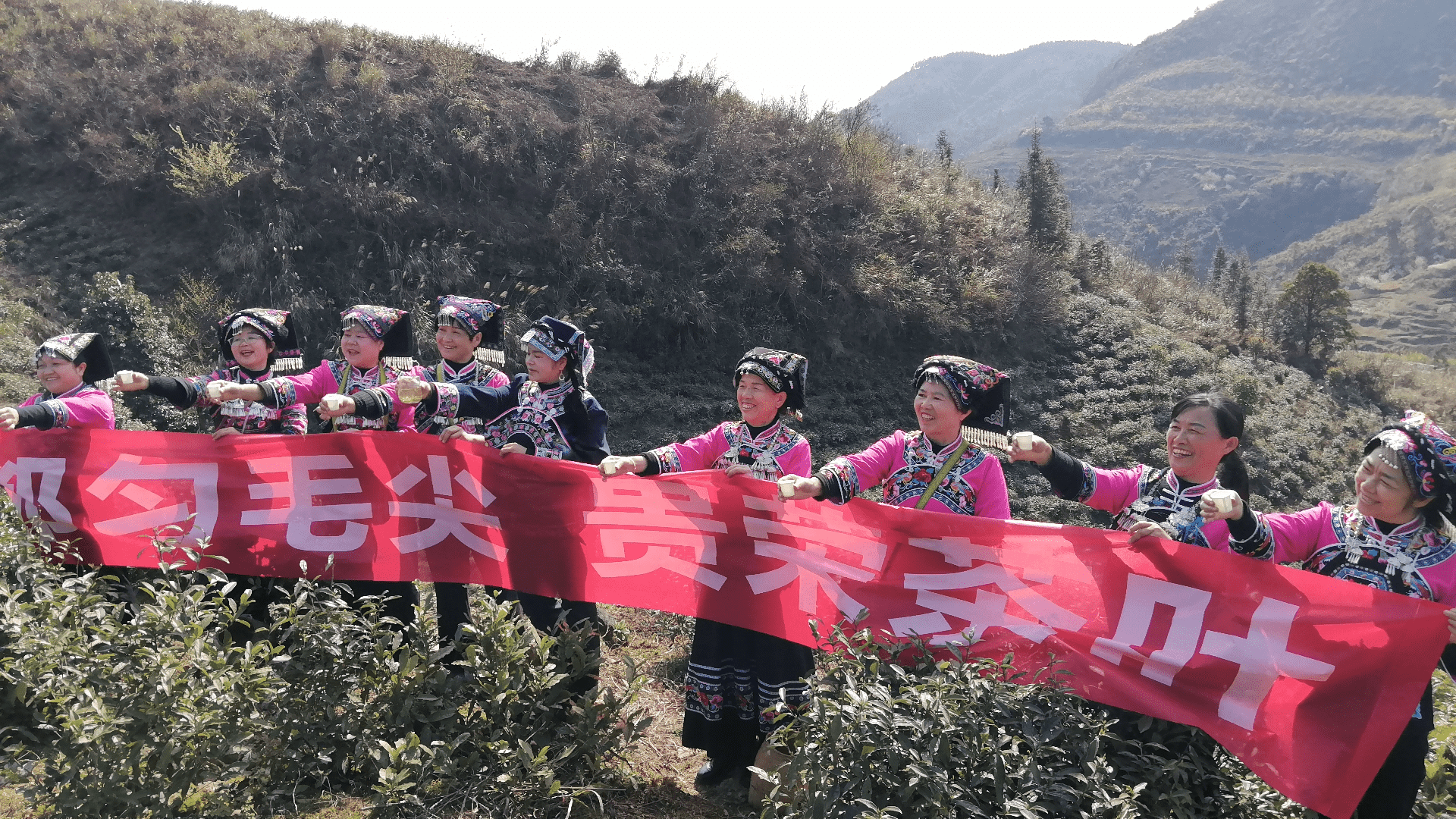 图片3_new 图片3_new