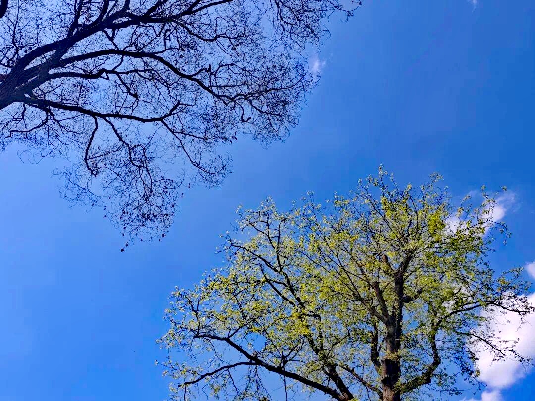 8718367adab44aed8733564e9135e010a08bfbd2@f_auto_edit_83262593381986